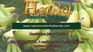 Dolor del nervio Ciatico Sintomas y Remedios Naturales │Naturismo Herbol [upl. by Anaugal243]