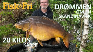 DRØMMEN OM EN SKANDINAVISK 20 KILOS KARPE [upl. by Hsenid]