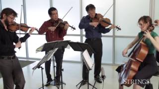 Strings Sessions Presents Del Sol String Quartet [upl. by Hedwiga603]