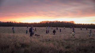 Jakten på en mördare  Trailer  Stockholm International Film Festival 2020 [upl. by Fogg]