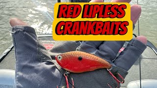 When And Where To Fish Red Lipless Crankbaits…On The Water Demo [upl. by Emmerich748]