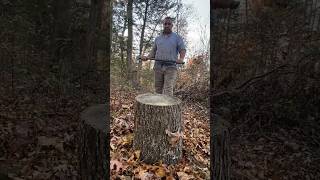 Splitting pignut hickory down the middle 57 splittingfirewood [upl. by Ettenoj]