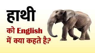 हाथी को इंग्लिश में क्या कहते है hathi ko angreji mein kya kahate hain  hathi ka english meaning [upl. by Anekahs]