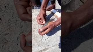 Suddenly A Big Expensive Fish Caught in Live Mullet Fish Bait fishing fishingvideos thoondiulagam [upl. by Ammadis370]