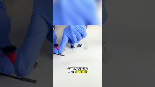 Generate Electricity with Magnets amp Coils ⚡🧲 shorts chemistryfundamentals diyscience science [upl. by Malik]