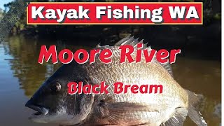 Kayak fishing  Moore River black bream Just north of Perth WA [upl. by Marcoux]