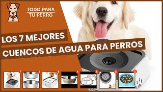 Los 7 mejores cuencos de agua para perros [upl. by Alwyn]