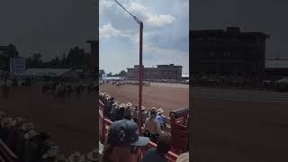 Cheyenne Frontier Days rodeo horses  2024 [upl. by Euginom]