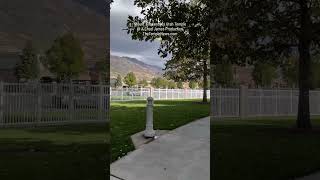 LDS Temples Mount Timpanogos Utah Temple [upl. by Sylirama]