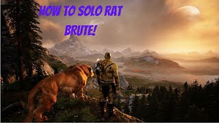 Mortal Online 2 Solo Rat Brute [upl. by Alyag606]