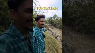 Kolkata to Sundarban Tour  One day tour  Jungle tour travel shorts sundarban [upl. by Adamson]