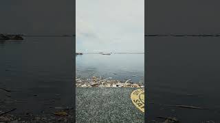 Manila Bay Reclamation Area [upl. by Yleak7]