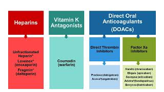 Webinar  Whats New in Anticoagulation Therapy [upl. by Embry528]