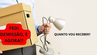 Como calcular rescisão no pedido de demissão [upl. by Alyacim169]