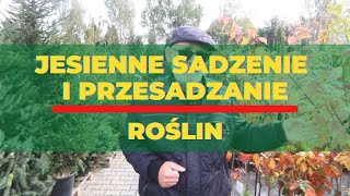 Zalety jesiennego sadzenia i przesadzania roślin [upl. by Weeks]