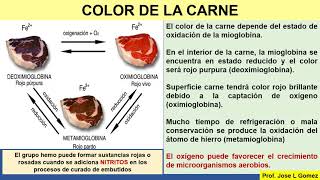 BROMATOLOGIA CARNE [upl. by Aibsel]