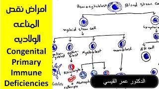 امراض نقص المناعه الولاديه  Congenital Primary Immune Deficiencies [upl. by Roda602]