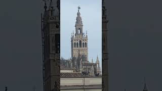 Campanas de La Giralda Catedral de Sevilla viralvideo foryou bells parati viraltiktok yt [upl. by Niamrej625]