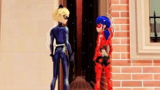 All Ladynoir and Adrienette Scenes from quotConfrontationquot ENG SUB  Miraculous Ladybug Season 5 [upl. by Nosrettap539]