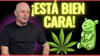 FACUNDO REVELA cuánto le cuesta la marihuana que se fuma [upl. by Werdna]