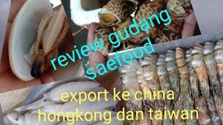 review gudang saefoodexport china thaiwan dan hongkong [upl. by Oeflein86]