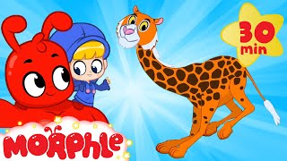 Morphles Animal Mix  My Magic Pet Morphle  Cartoons for Kids [upl. by Demitria]