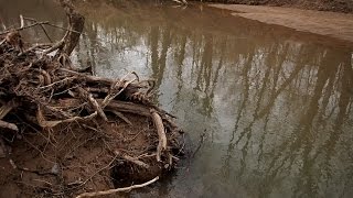 I went Metal Detecting and fell in the Creek  Nugget Noggin [upl. by Hebert]