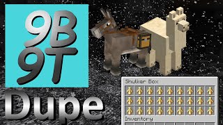 Duping on 9b9t 2019 [upl. by Eecram762]