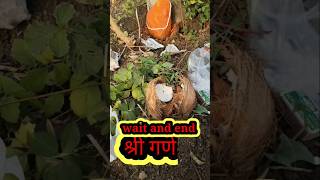 श्री गणेशLaxmi kampani कूवा के पानी की मोटर short trinding ytshort viral [upl. by Grubman]