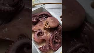 Italiana polpo 🐙 බූවල්ලා italianfood italiya italy food polpo octopus europeancity srilanka [upl. by Dickinson286]