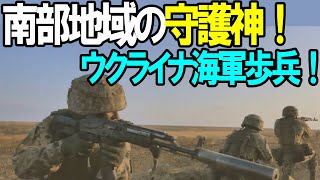 【ウクライナの部隊を知る】実は大活躍していたウクライナ海軍歩兵（海兵隊） [upl. by Knowland]