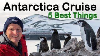 The 5 Best And Unexpected Things About An Antarctica Cruise [upl. by Eiahpets]