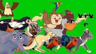 cartoon animal stampede green screen compilation [upl. by Nadeau394]