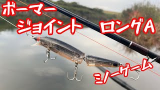 トップウォーターカヤックフィッシング鬼怒川バス釣り ボーマーbassfishing ロングaジョイントfishing [upl. by Akli489]