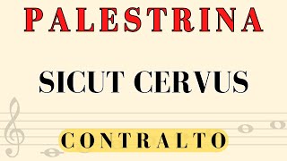 Palestrina  Sicut Cervus Contralto [upl. by Franz]