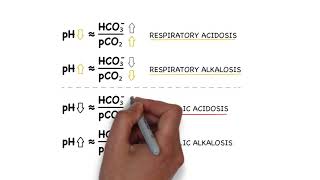 How to distinguish between different acidbase disorders a simple rule [upl. by Franciscka35]