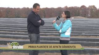 Ferma de afin Dâmbovița partea 1 [upl. by Ajuna]