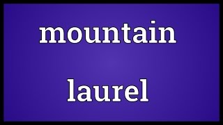 Mountain laurel Meaning [upl. by Berfield216]