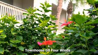 Four Winds St Augustine Summer [upl. by Shaughnessy]