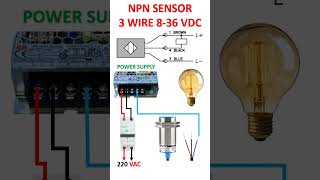 NPN 3WIRE SENSOR WIRING automation electricalengineering electrical sensor pnp transistor [upl. by Nylknarf]