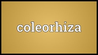 Coleorhiza Meaning [upl. by Amil]