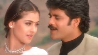 Kalalonaina Anukoledhe Video Song  Nuvvu Vasthavani Movie  Nagarjuna  Simran  Volga Music Box [upl. by Yllus]