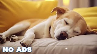 12 Hours Anti Anxiety Music For Dogs 🐶 Stress Relief Music For Dogs ♬ Calming Music For Dogs [upl. by Wester]