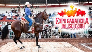 MUJERES EN CABALLOS BAILADORES  EXPO GANADERA JALISCO 2019 [upl. by Lorenza]