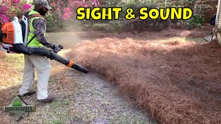 Like it or not it rules in the south SIGHT amp SOUND rolling pine straw with the STIHL BR 800c [upl. by Cortney297]