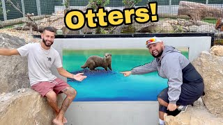 He Built His DREAM HOME FOR his OTTERS Blakes Exotic Animal Ranch [upl. by Ansela]