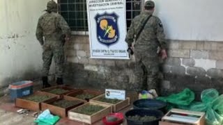 Hallaron un laboratorio de quotMarihuana Vipquot [upl. by Razaile265]