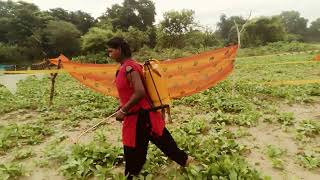 dekhiae doston meri mausi khet mein muli ke dava maar rahi hai muli motane ke liye 🙏👌😆 [upl. by Ahsinra896]