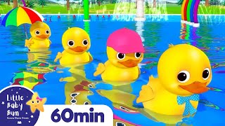 Five Little Ducks  More of LittleBabyBum  Classic Nursery Rhymes for Babies [upl. by Hitchcock6]