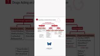 cholinergic drug pharmacology mbbs aiims medicine medicos reels shorts pg [upl. by Lothair841]